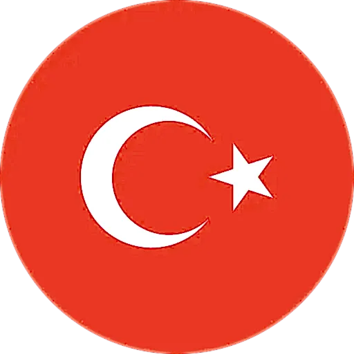 Translate to Türkçe